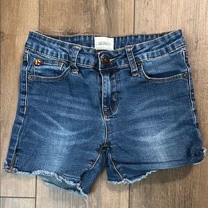 Hudson Blue Denim Shorts